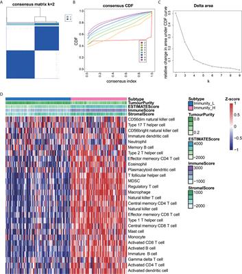 Immune Infiltration Subtypes Characterization and Identification of Prognosis-Related lncRNAs in Adenocarcinoma of the Esophagogastric Junction